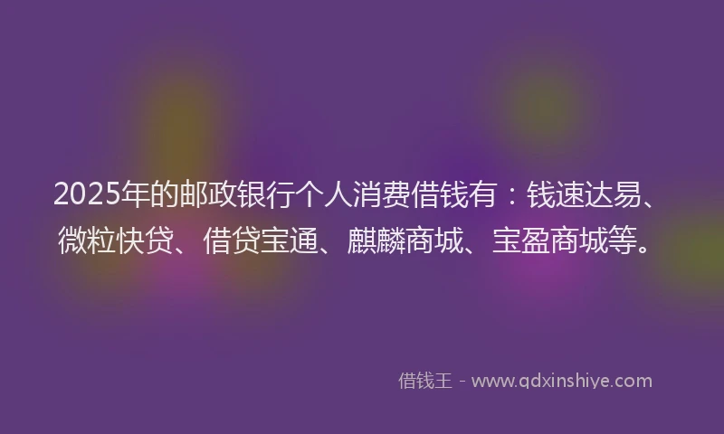 2025年的邮政银行个人消费借钱有：钱速达易、微粒快贷、借贷宝通、麒麟商城、宝盈商城等。