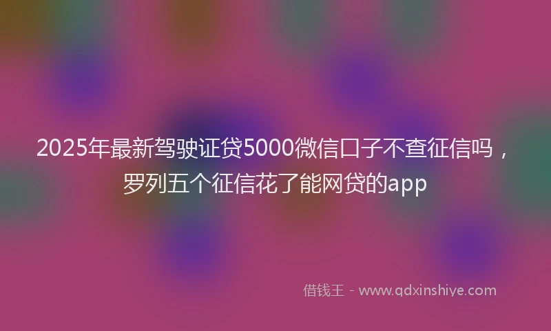 2025年最新驾驶证贷5000微信口子不查征信吗，罗列五个征信花了能网贷的app