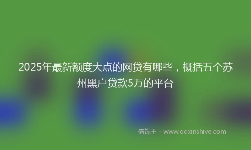 2025年最新额度大点的网贷有哪些，概括五个苏州黑户贷款5万的平台