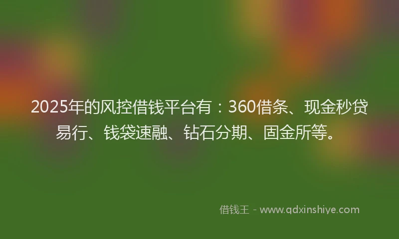 2025年的风控借钱平台有：360借条、现金秒贷易行、钱袋速融、钻石分期、固金所等。