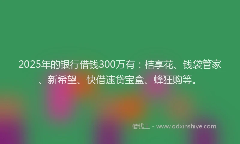 2025年的银行借钱300万有：桔享花、钱袋管家、新希望、快借速贷宝盒、蜂狂购等。