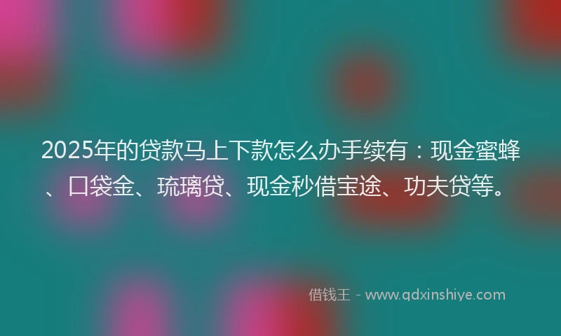 2025年的贷款马上下款怎么办手续有：现金蜜蜂、口袋金、琉璃贷、现金秒借宝途、功夫贷等。