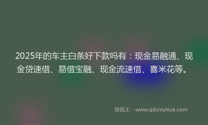 2025年的车主白条好下款吗有:现金易融通、现金贷速借、易借宝融、现金流速借、喜米花等。