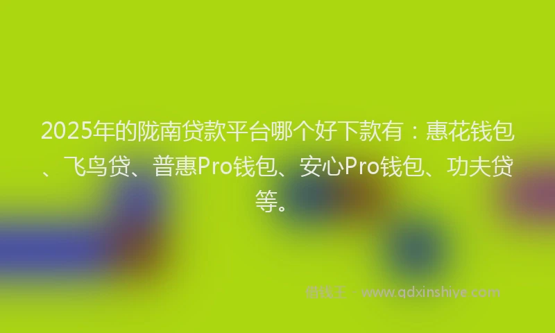 2025年的陇南贷款平台哪个好下款有：惠花钱包、飞鸟贷、普惠Pro钱包、安心Pro钱包、功夫贷等。