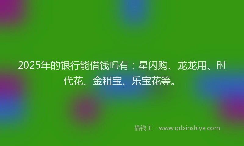 2025年的银行能借钱吗有：星闪购、龙龙用、时代花、金租宝、乐宝花等。