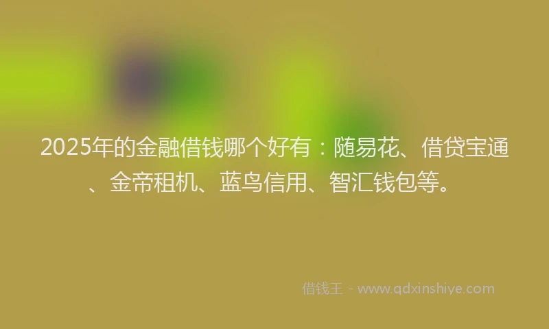 2025年的金融借钱哪个好有：随易花、借贷宝通、金帝租机、蓝鸟信用、智汇钱包等。