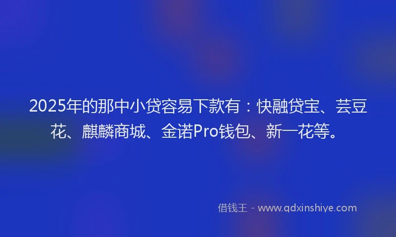2025年的那中小贷容易下款有：快融贷宝、芸豆花、麒麟商城、金诺Pro钱包、新一花等。
