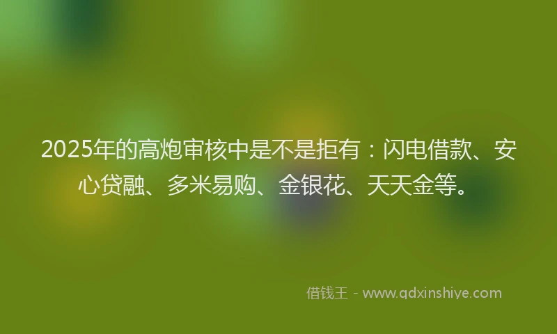 2025年的高炮审核中是不是拒有：闪电借款、安心贷融、多米易购、金银花、天天金等。