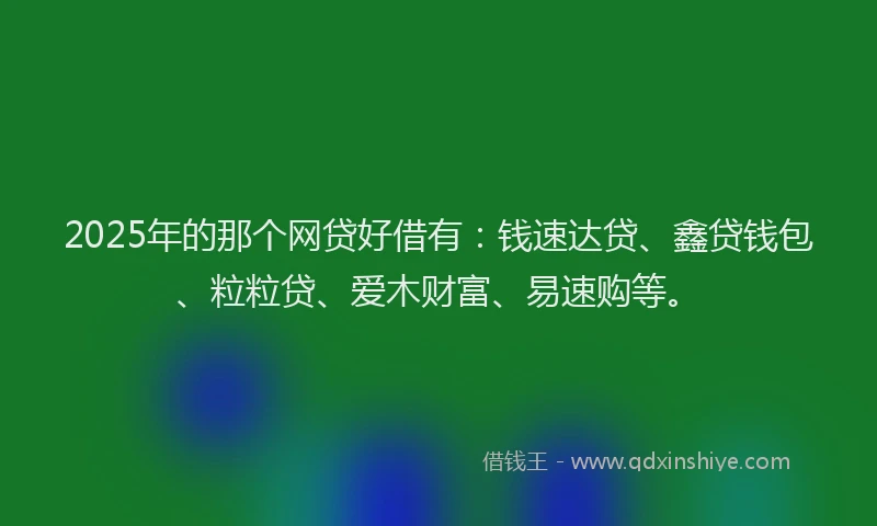 2025年的那个网贷好借有：钱速达贷、鑫贷钱包、粒粒贷、爱木财富、易速购等。