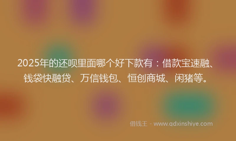 2025年的还呗里面哪个好下款有：借款宝速融、钱袋快融贷、万信钱包、恒创商城、闲猪等。