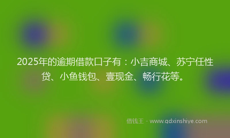 2025年的逾期借款口子有：小吉商城、苏宁任性贷、小鱼钱包、壹现金、畅行花等。