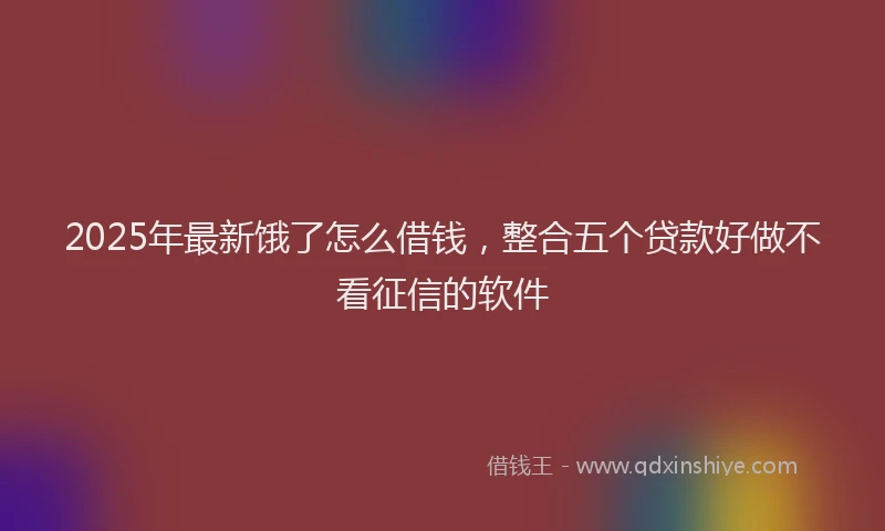 2025年最新饿了怎么借钱，整合五个贷款好做不看征信的软件