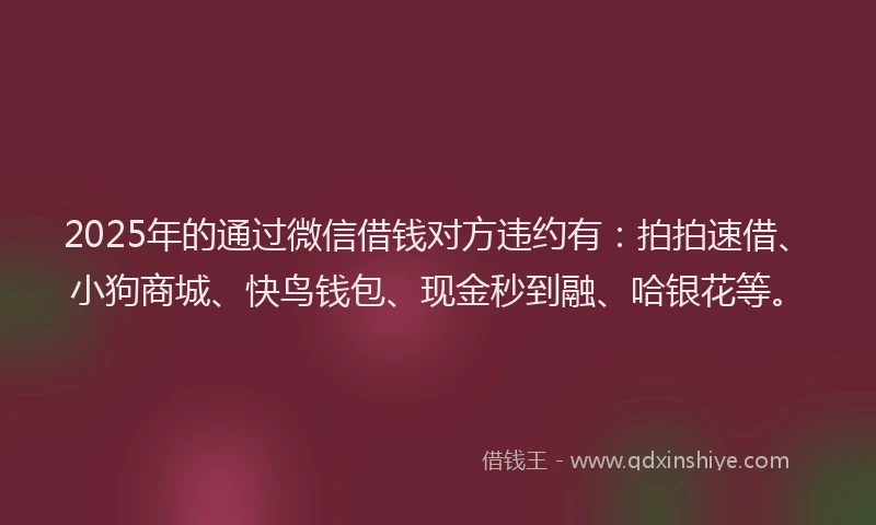 2025年的通过微信借钱对方违约有：拍拍速借、小狗商城、快鸟钱包、现金秒到融、哈银花等。