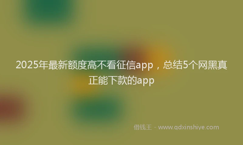2025年最新额度高不看征信app，总结5个网黑真正能下款的app