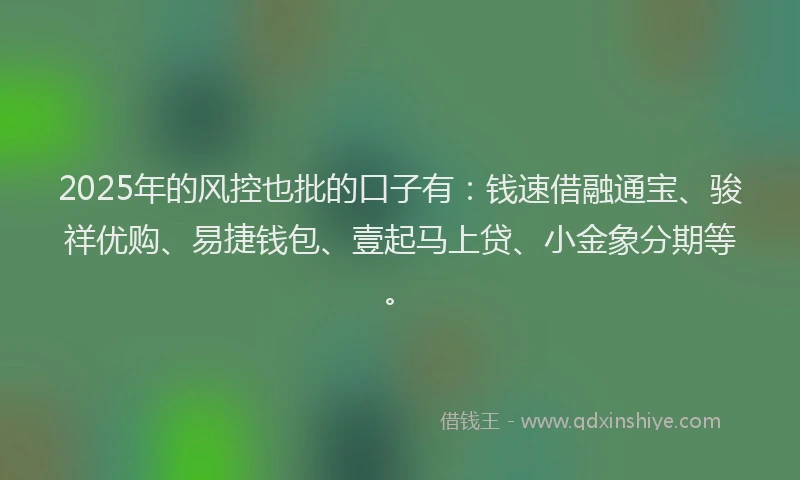 2025年的风控也批的口子有：钱速借融通宝、骏祥优购、易捷钱包、壹起马上贷、小金象分期等。
