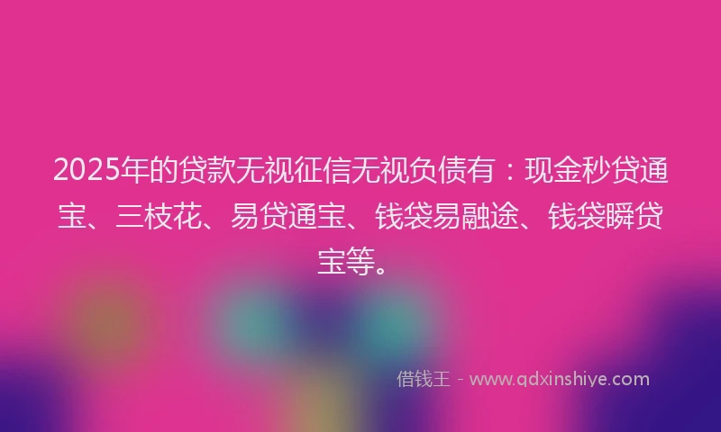 2025年的贷款无视征信无视负债有：现金秒贷通宝、三枝花、易贷通宝、钱袋易融途、钱袋瞬贷宝等。