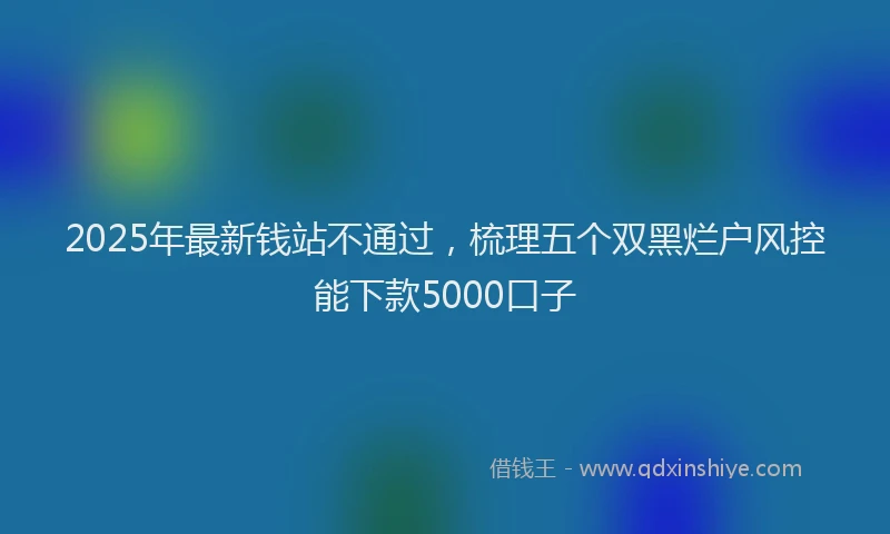 2025年最新钱站不通过，梳理五个双黑烂户风控能下款5000口子