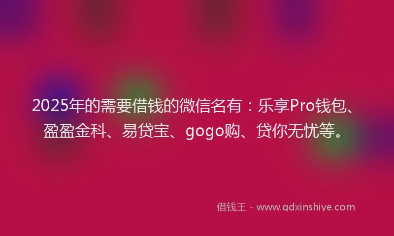 2025年的需要借钱的微信名有：乐享Pro钱包、盈盈金科、易贷宝、gogo购、贷你无忧等。