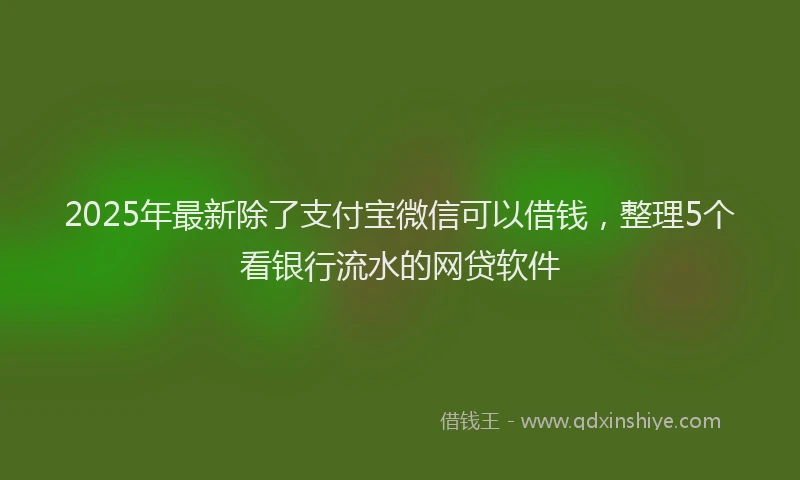 2025年最新除了支付宝微信可以借钱,整理5个看银行流水的网贷软件