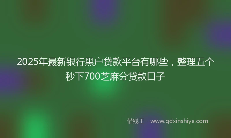 2025年最新银行黑户贷款平台有哪些，整理五个秒下700芝麻分贷款口子