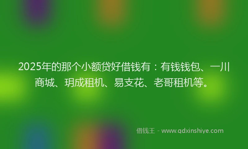 2025年的那个小额贷好借钱有：有钱钱包、一川商城、玥成租机、易支花、老哥租机等。