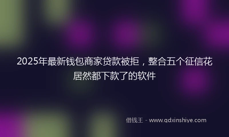 2025年最新钱包商家贷款被拒，整合五个征信花居然都下款了的软件