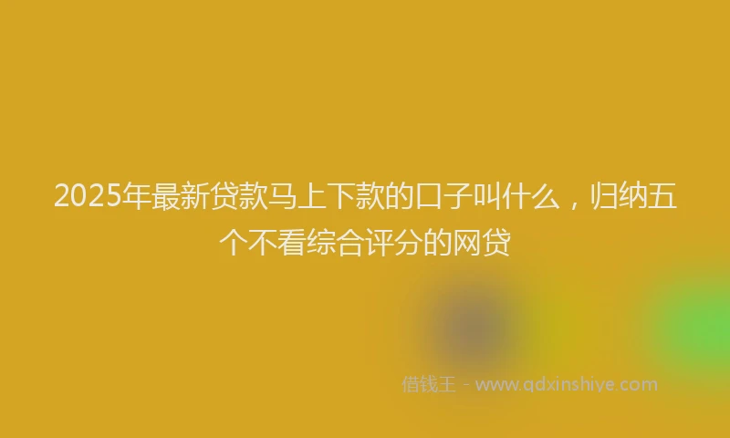 2025年最新贷款马上下款的口子叫什么,归纳五个不看综合评分的网贷