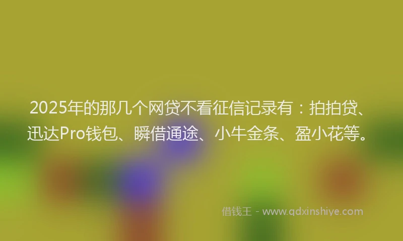 2025年的那几个网贷不看征信记录有：拍拍贷、迅达Pro钱包、瞬借通途、小牛金条、盈小花等。