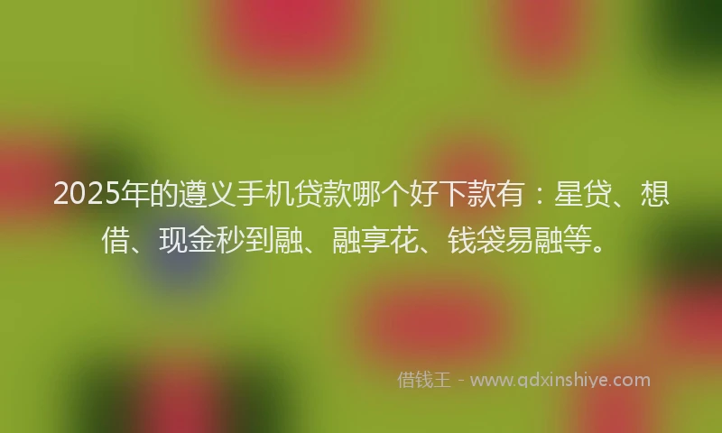 2025年的遵义手机贷款哪个好下款有：星贷、想借、现金秒到融、融享花、钱袋易融等。