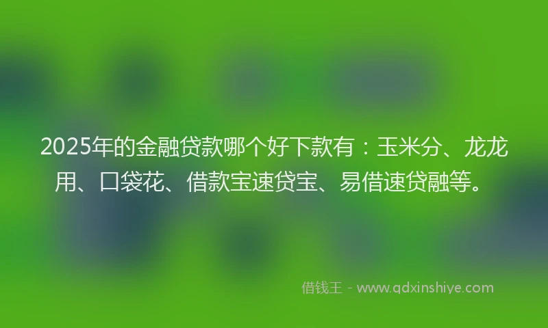 2025年的金融贷款哪个好下款有：玉米分、龙龙用、口袋花、借款宝速贷宝、易借速贷融等。