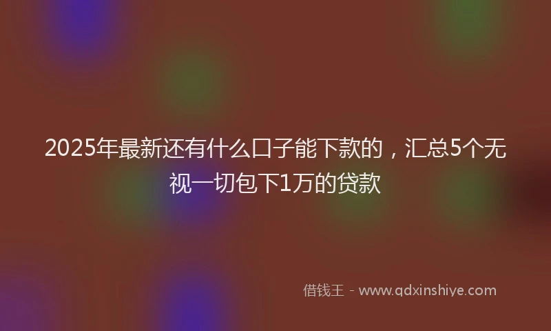 2025年最新还有什么口子能下款的，汇总5个无视一切包下1万的贷款