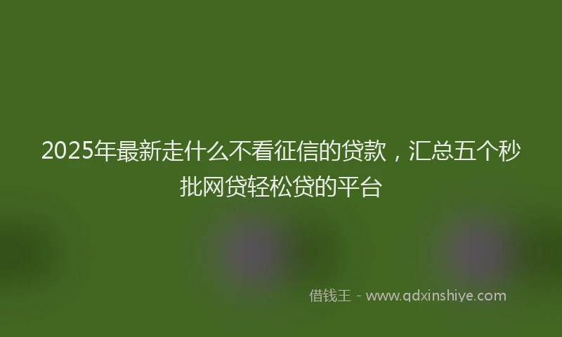 2025年最新走什么不看征信的贷款,汇总五个秒批网贷轻松贷的平台