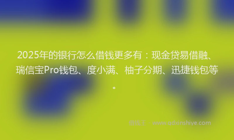 2025年的银行怎么借钱更多有：现金贷易借融、瑞信宝Pro钱包、度小满、柚子分期、迅捷钱包等。