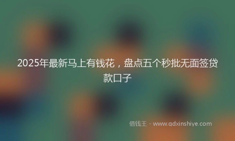 2025年最新马上有钱花，盘点五个秒批无面签贷款口子