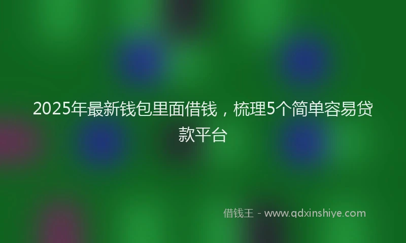 2025年最新钱包里面借钱，梳理5个简单容易贷款平台