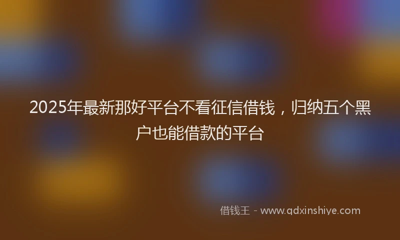 2025年最新那好平台不看征信借钱，归纳五个黑户也能借款的平台