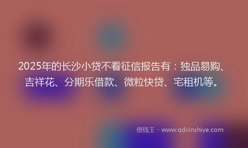 2025年的长沙小贷不看征信报告有：独品易购、吉祥花、分期乐借款、微粒快贷、宅租机等。