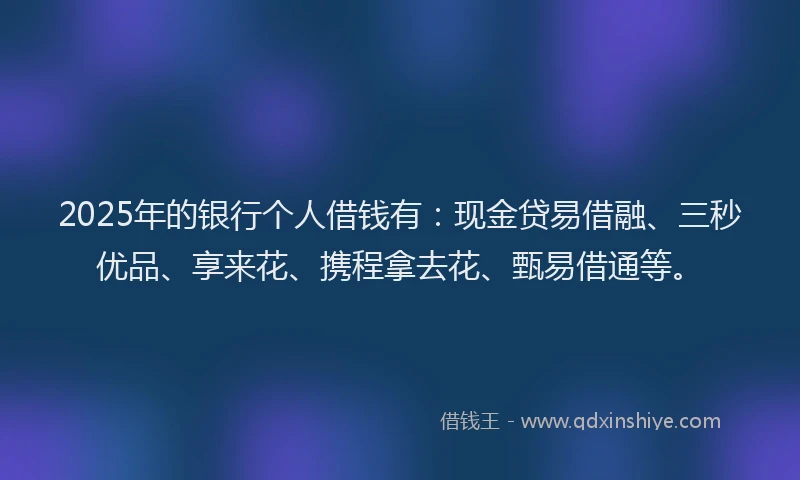 2025年的银行个人借钱有：现金贷易借融、三秒优品、享来花、携程拿去花、甄易借通等。