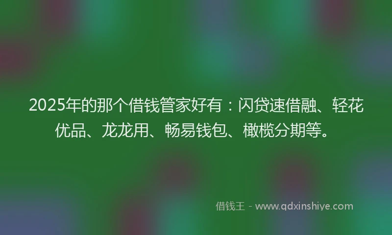 2025年的那个借钱管家好有：闪贷速借融、轻花优品、龙龙用、畅易钱包、橄榄分期等。