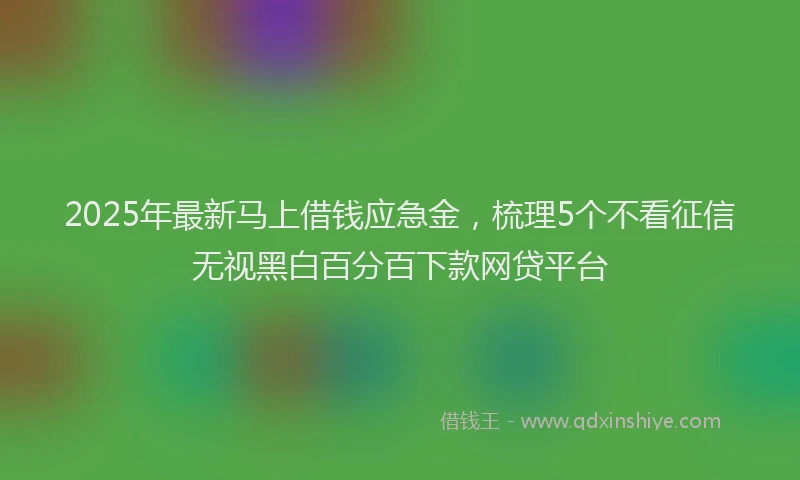 2025年最新马上借钱应急金，梳理5个不看征信无视黑白百分百下款网贷平台