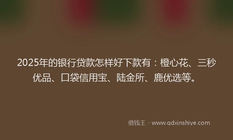2025年的银行贷款怎样好下款有：橙心花、三秒优品、口袋信用宝、陆金所、鹿优选等。