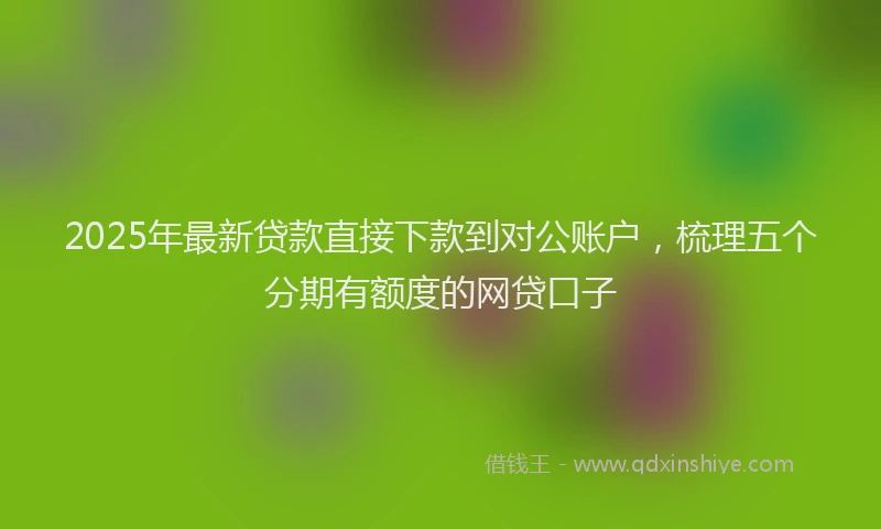 2025年最新贷款直接下款到对公账户，梳理五个分期有额度的网贷口子