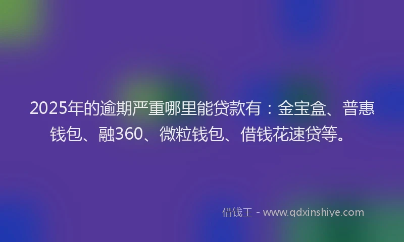 2025年的逾期严重哪里能贷款有：金宝盒、普惠钱包、融360、微粒钱包、借钱花速贷等。
