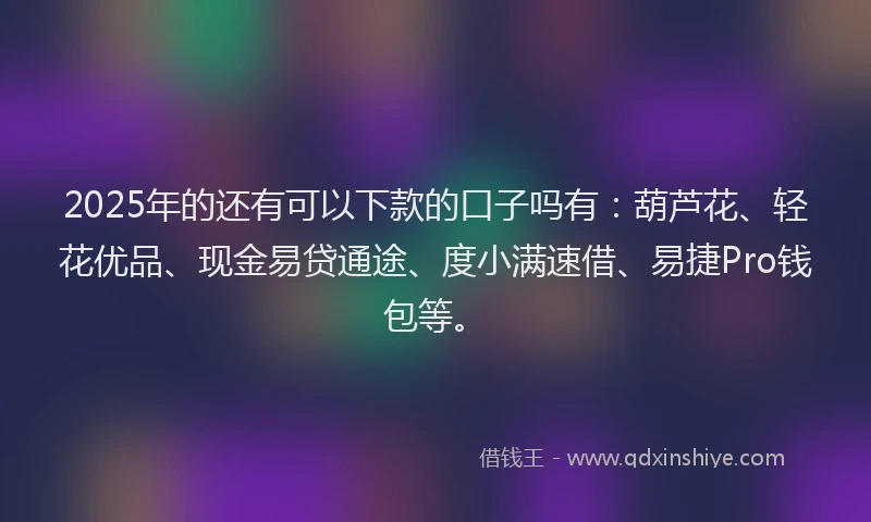 2025年的还有可以下款的口子吗有：葫芦花、轻花优品、现金易贷通途、度小满速借、易捷Pro钱包等。
