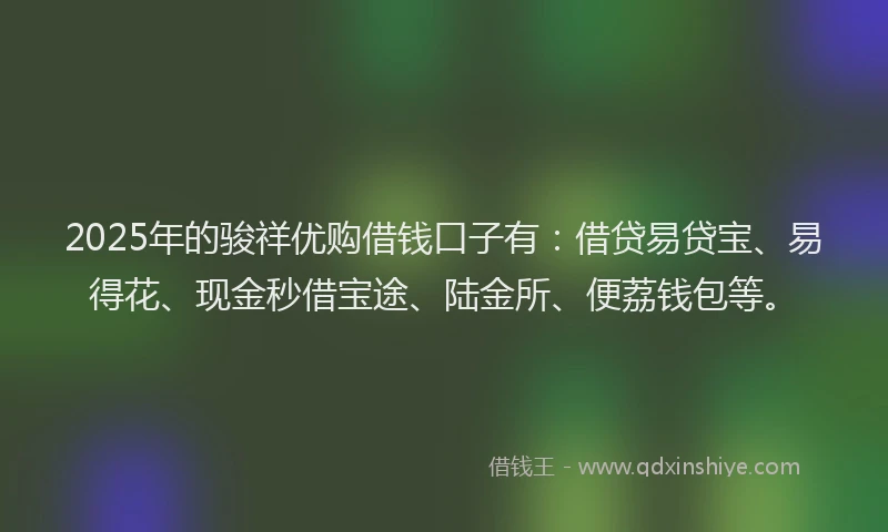 2025年的骏祥优购借钱口子有：借贷易贷宝、易得花、现金秒借宝途、陆金所、便荔钱包等。