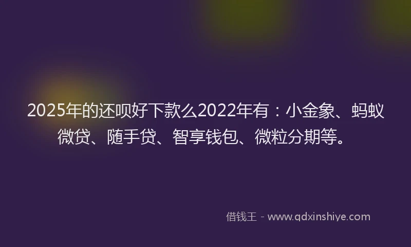 2025年的还呗好下款么2022年有：小金象、蚂蚁微贷、随手贷、智享钱包、微粒分期等。