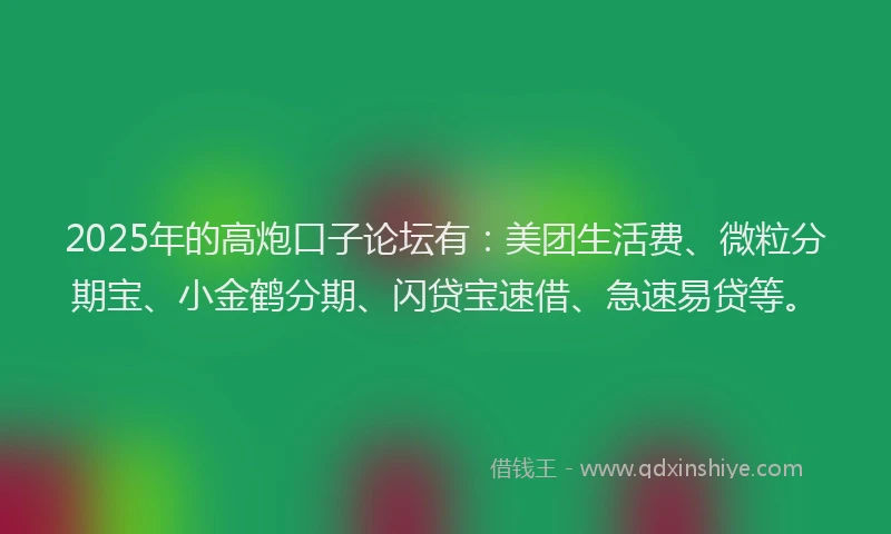 2025年的高炮口子论坛有：美团生活费、微粒分期宝、小金鹤分期、闪贷宝速借、急速易贷等。
