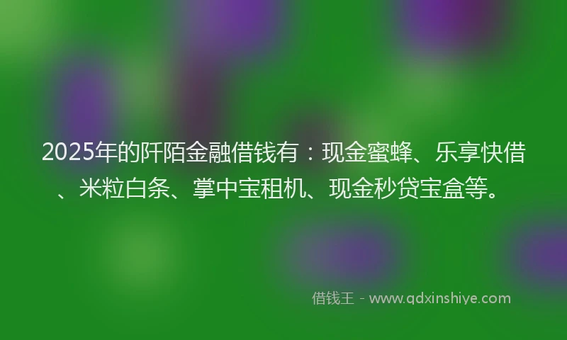 2025年的阡陌金融借钱有：现金蜜蜂、乐享快借、米粒白条、掌中宝租机、现金秒贷宝盒等。