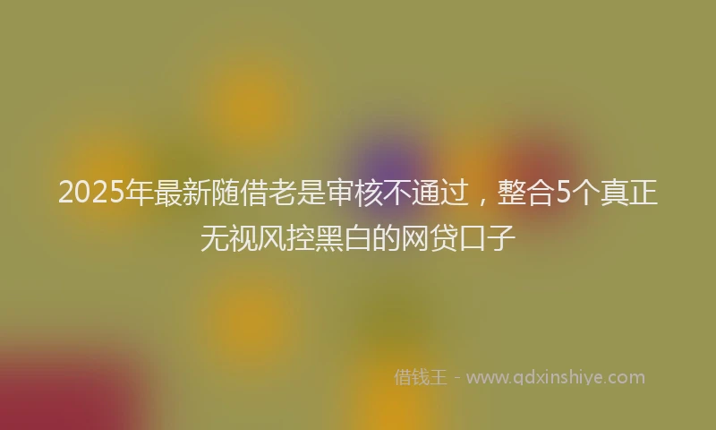 2025年最新随借老是审核不通过，整合5个真正无视风控黑白的网贷口子