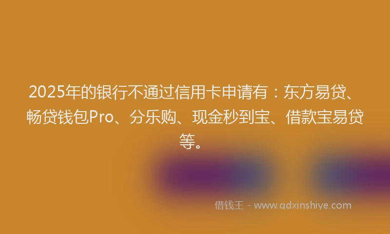 2025年的银行不通过信用卡申请有：东方易贷、畅贷钱包Pro、分乐购、现金秒到宝、借款宝易贷等。